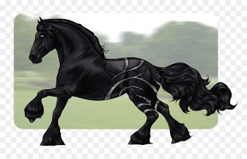 Stallion Mustang Mare Halter Rein - mustang 