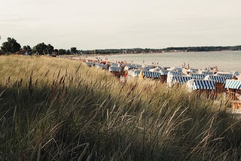 Stalls Along The Seashore