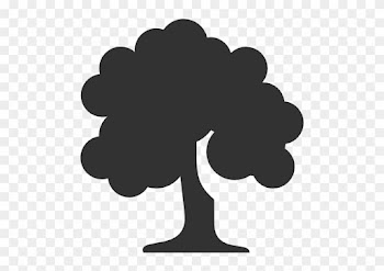 Stammbaum Der Familie Wojtusch - Tree Icon Png