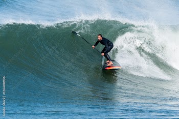 Stand up paddle surfer