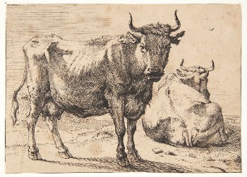 Standing and lying cow | Free Photo - rawpixel