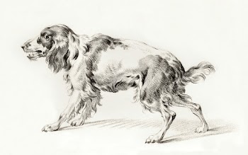 Standing barking dog (1823) drawing in high… | Free public domain illustration