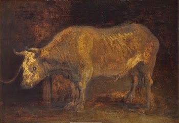 Standing bull | Free Photo - rawpixel