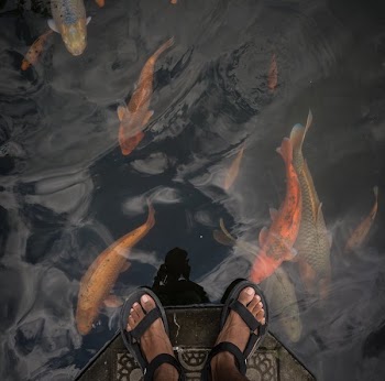 Standing By Koi Pond