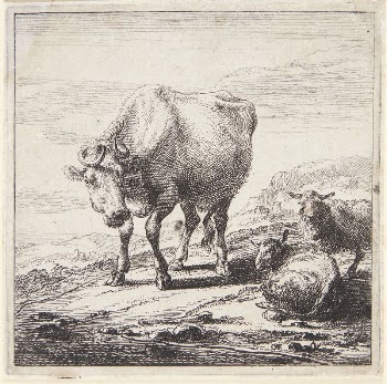 Standing cow and two lying | Free Photo - rawpixel