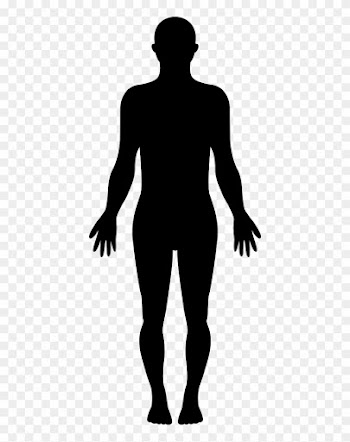Standing Human Body Silhouette Svg Png Icon Free Download - Silhouette Of A Girl Standing