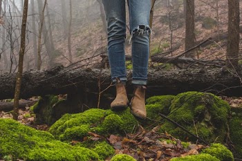 Standing In Woods