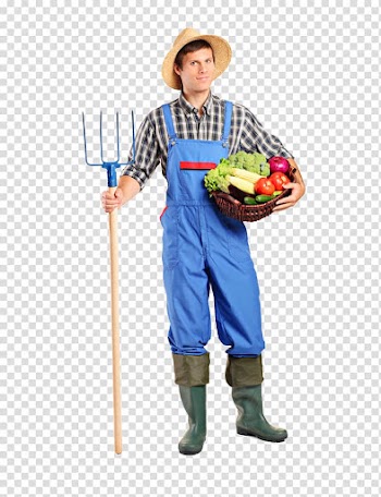 Standing man holding rake and assorted fruit and vegetable inside basket, Agriculture Gardening Forks Farmer, farmer transparent background PNG clipart
