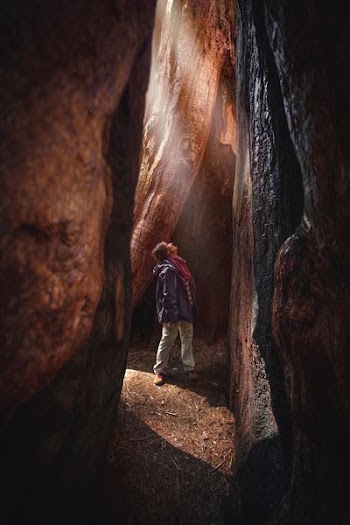 standing man inside cave