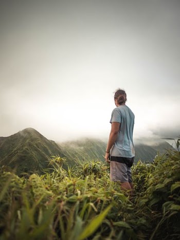 standing person surrounded by green plants during daytime