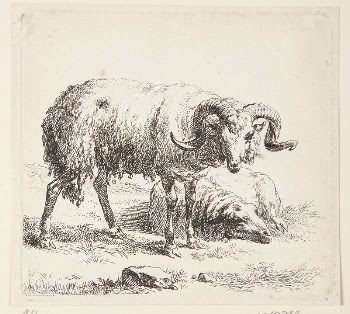 Standing ram and a lying | Free Photo - rawpixel