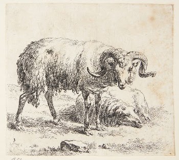 Standing ram and a lying | Free Photo - rawpixel