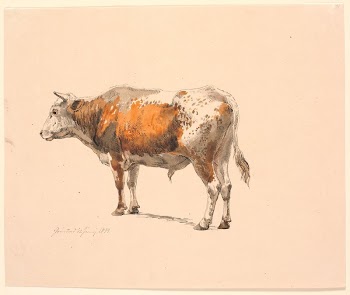 Standing red-spotted bull, facing left, | Free Photo - rawpixel