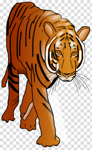 Standing Tiger Transparent Image