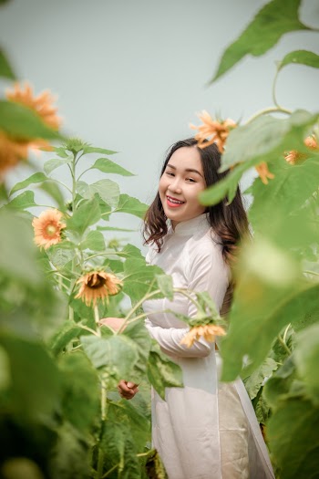 Standing Woman Wearing White Long-sleeved Dress Surrounded by Sunflower