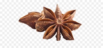 Star anise Chinese cuisine Spice Herb - star anise 