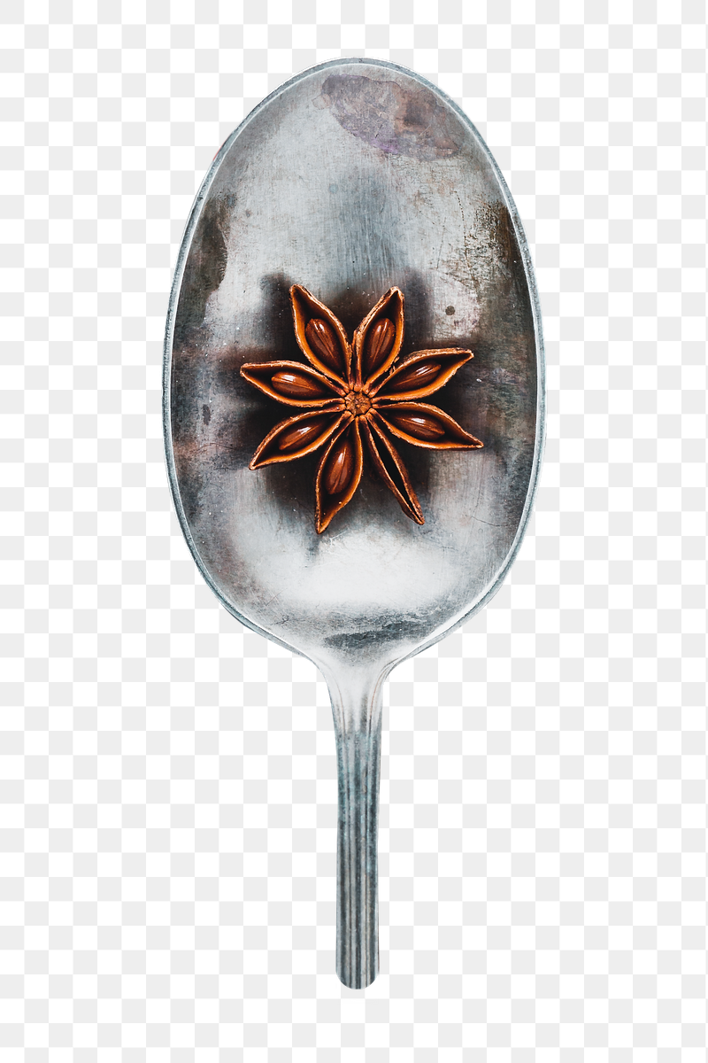 Star anise png sticker, transparent | Free PNG - rawpixel