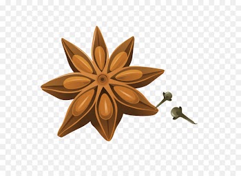 Star anise Spice Illustration Image - anise outline 