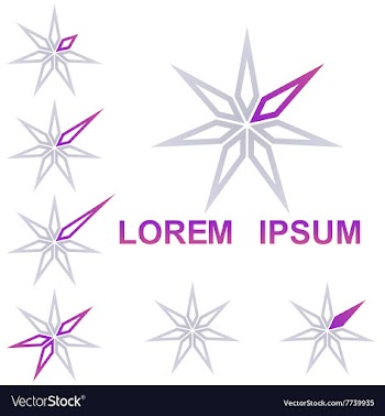 Star company logo design set vector image