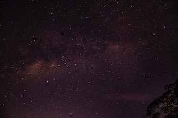 star filled nighttime sky