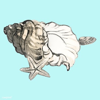 Star fish and Conchby Kōno Bairei (1844-1895.. | Free stock vector - 467166
