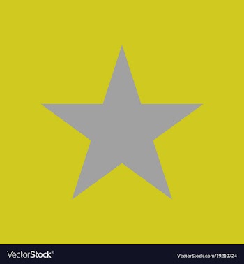 Star flat icon flat rank favorite web symbol vector image