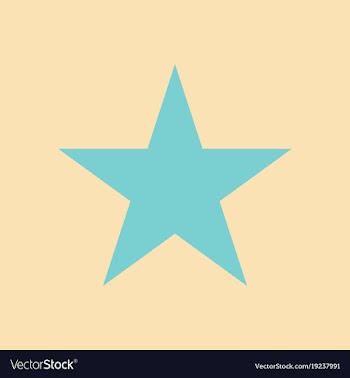 Star flat icon flat rank favorite web symbol vector image