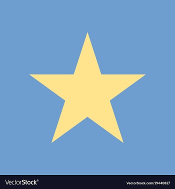 Star flat icon flat rank favorite web symbol vector image