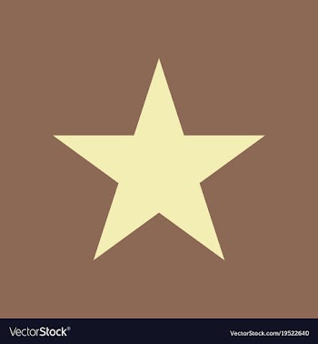 Star flat icon flat rank favorite web symbol vector image
