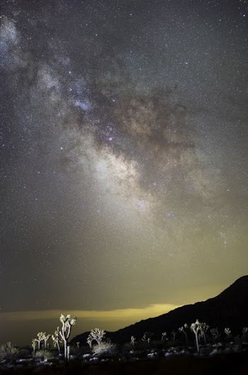 star gazing