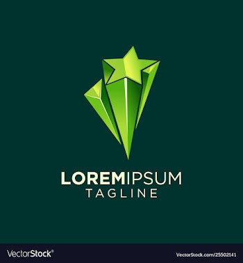 Star gem logo design vector image