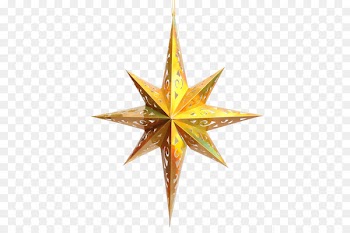Star polygon Octagon - Star anise star 