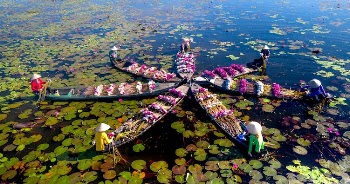 Star Shape from Boats with Flowers