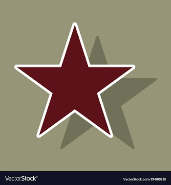 Star sticker icon flat rank favorite web symbol vector image