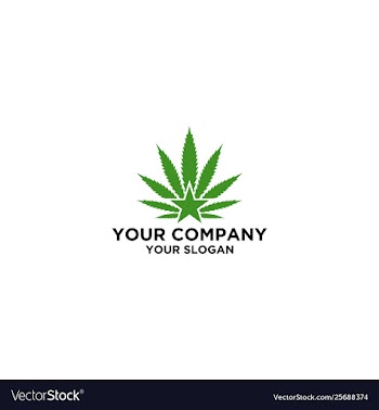 Star symbol with cannabis leaf vector image