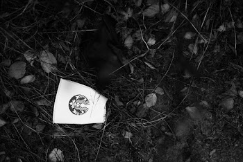 Starbucks Disposable Cup on Soil