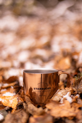 Starbucks Mug On Dry Leaves