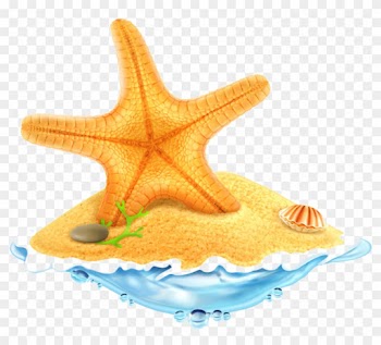 Starfish All Species Sea Stars Belong Stock Photo Royalty - Coconut Tree Cartoons Summer
