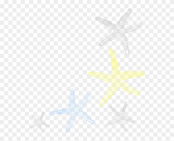Starfish Border