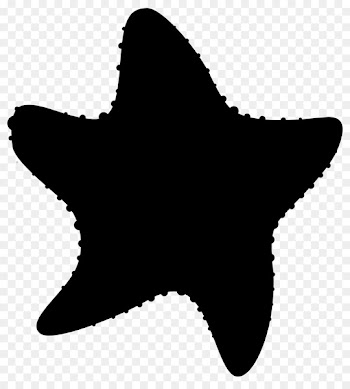 Starfish Clip art Silhouette -  
