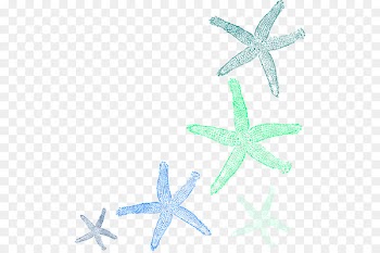 Starfish Clip art - watercolor seashell 