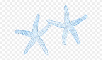 Starfish Clipart Blue Starfish - Beach Wedding Welcome Bag