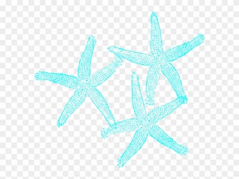 Starfish Clipart Mint - Wedding Starfish Clipart