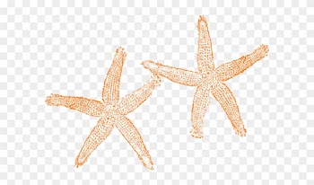 Starfish Clipart Orange Starfish - Beach Wedding Welcome Bag