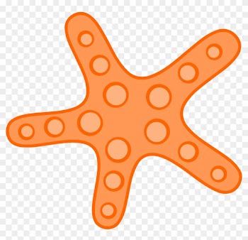 Starfish - Clipart - Sea Star Clipart