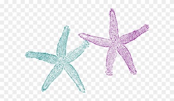 Starfish Clipart Teal - Beach Wedding Welcome Bag