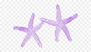 Starfish Clipart Three - Beach Wedding Welcome Bag