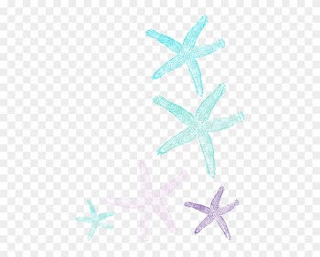 Starfish Corner Border