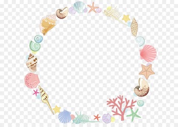 Starfish Drawing Seashell - Starfish Border 