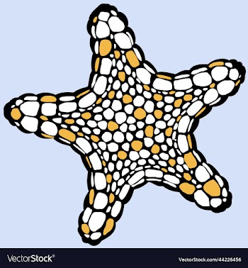 starfish duotone black and light orange